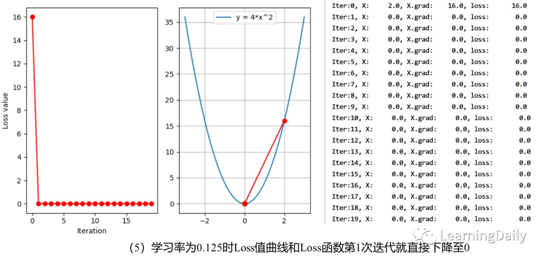 adam优化器pytorch使用 pytorch adam优化器参数_pytorch 正则化_07