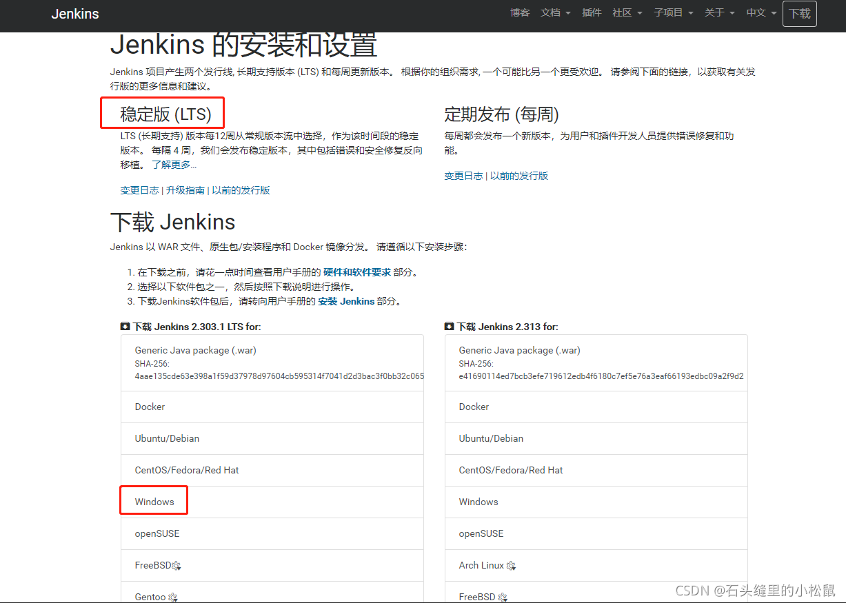 jenkins java 执行脚本 jenkins执行本地脚本_Jenkins_03