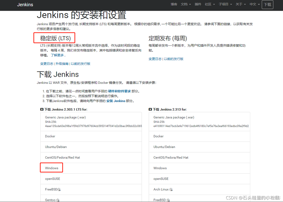 jenkins java 执行脚本 jenkins执行本地脚本_HTML_03