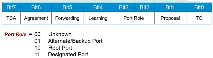 Android RSTP软件 rstp文件_Backup_03