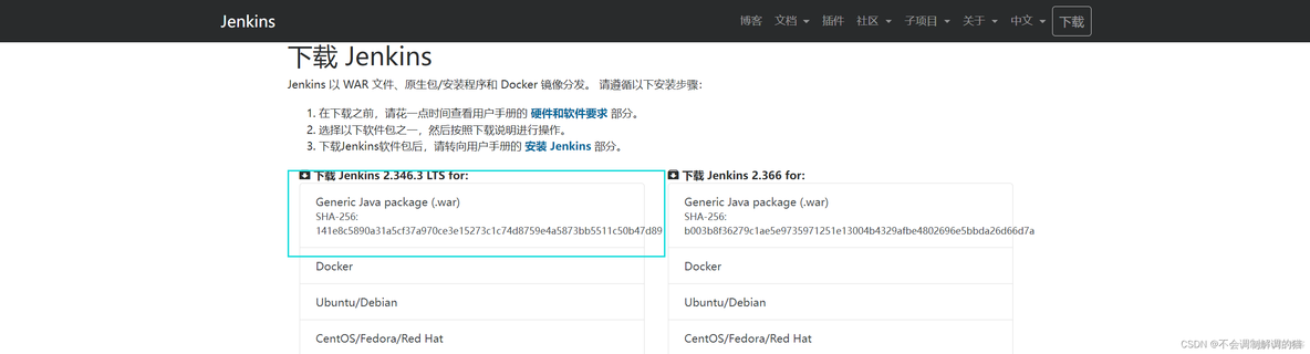 jenkins执行shell命令可以执行docker命令吗 jenkins docker cicd_云原生_10