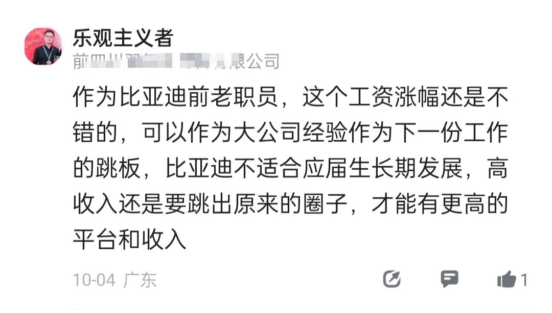 比亚迪今年薪资曝光。。。去年迪子，今年迪爹！！！_组织架构_08