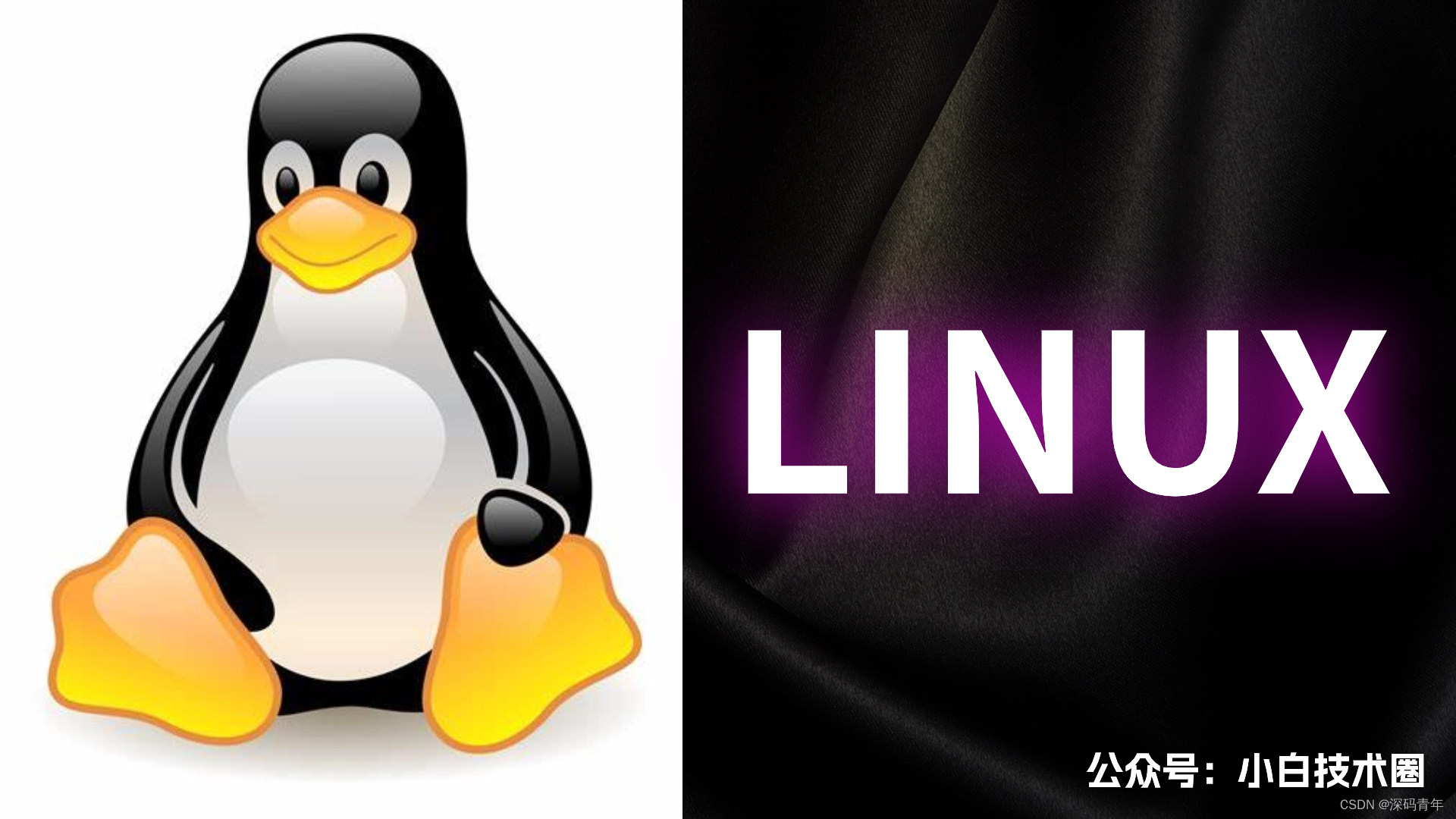 Linux 删除文件命令（超详细）_删除文件