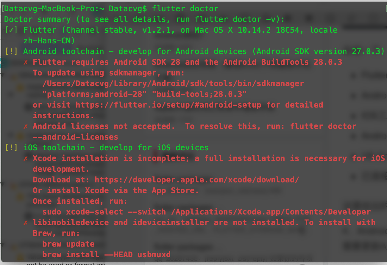 Flutter ios 闪退分析 flutter doctor闪退_移动开发