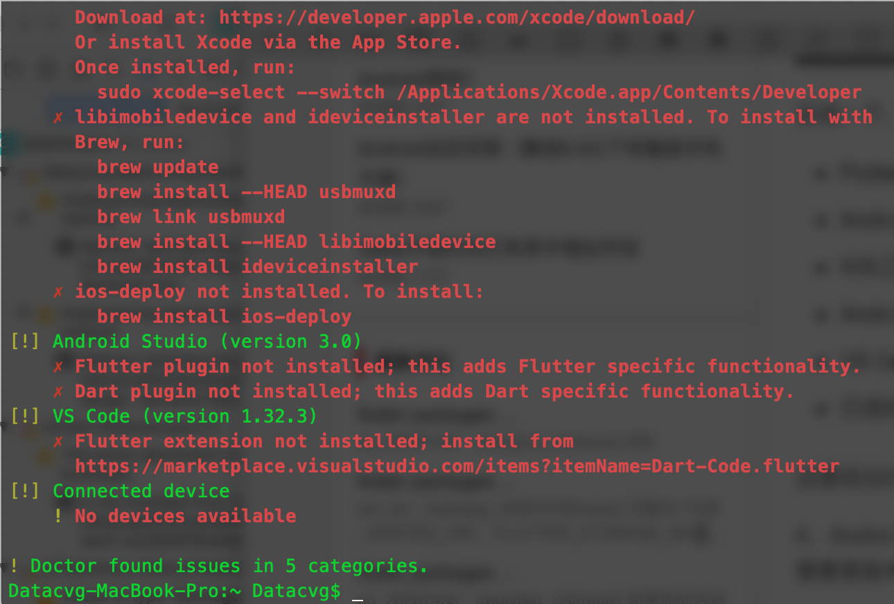 Flutter ios 闪退分析 flutter doctor闪退_flutter_02