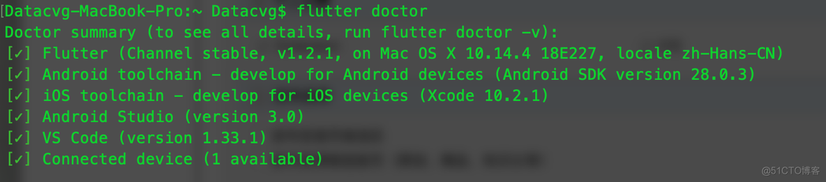 Flutter ios 闪退分析 flutter doctor闪退_flutter_11