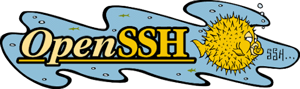 android openssl 添加 openssl dh_Linux OpenSSH 密钥登录