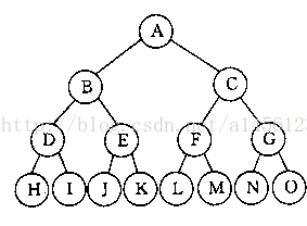 分叉树Python 分叉树寓意_二叉树