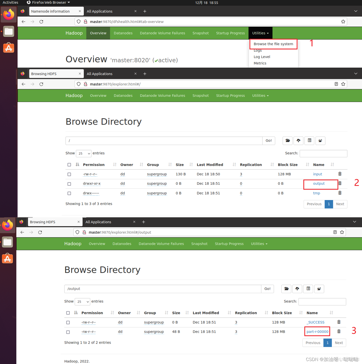 hadoop 实验报告 hadoop实验报告结论写什么_hdfs_32