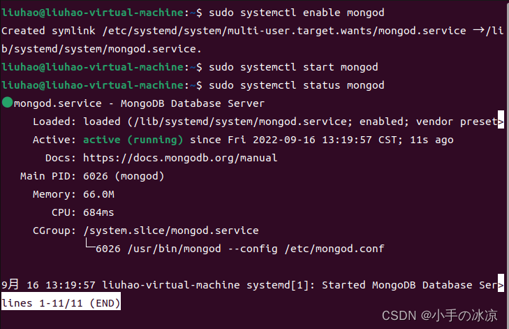 mongodb大数据查询的性能 大数据存储mongodb实战指南_ide_08