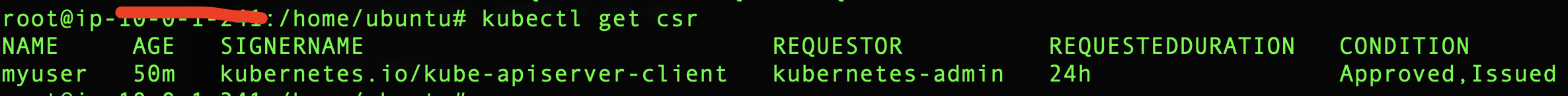 kubernetes apiserver 关闭证书认证 kube-apiserver_kubernetes_07