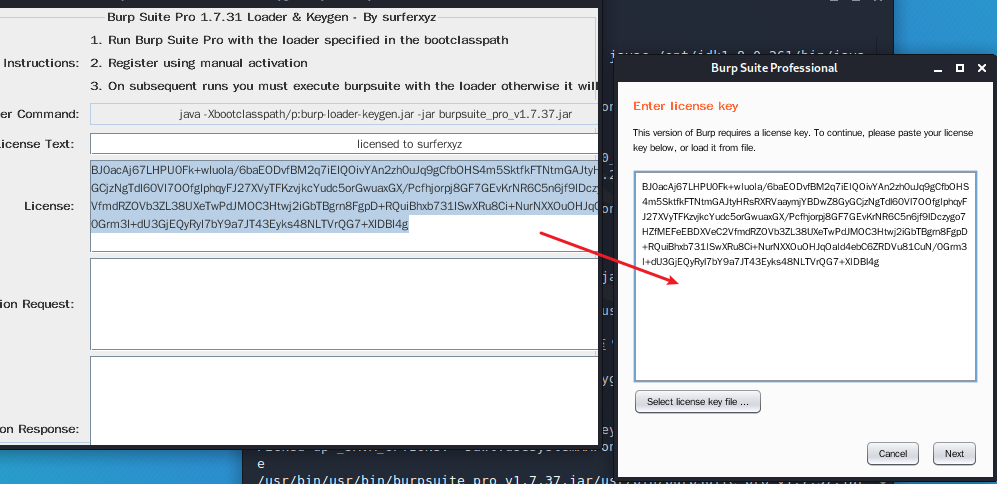 kali安装专业版burpsuite_java_10