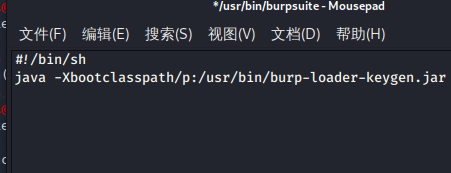 kali安装专业版burpsuite_JAVA_15