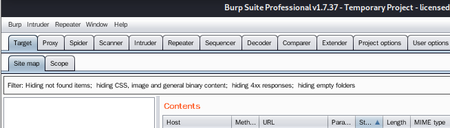 kali安装专业版burpsuite_jar_18