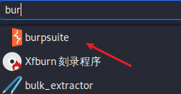 kali安装专业版burpsuite_java_17