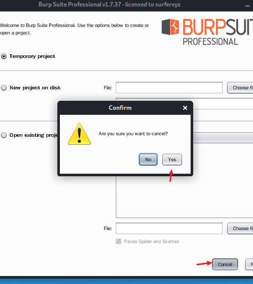 kali安装专业版burpsuite_JAVA_14