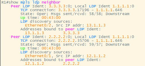 Hub-Spoke MPLS VPN（非跨域）_ide_03