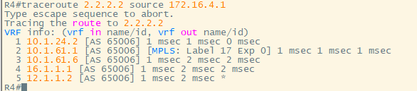 Hub-Spoke MPLS VPN（非跨域）_ide_16