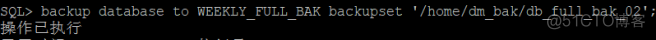 docker 达梦数据库 备份 达梦数据库备份语句_linux_04