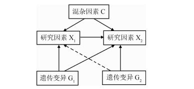 孟德尔随机化gz格式数据下载后如何导入r语言 孟德尔随机化是什么_随机化_111