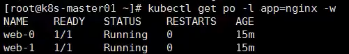 Storm 应用场景 statefulsets应用场景_Redis_13