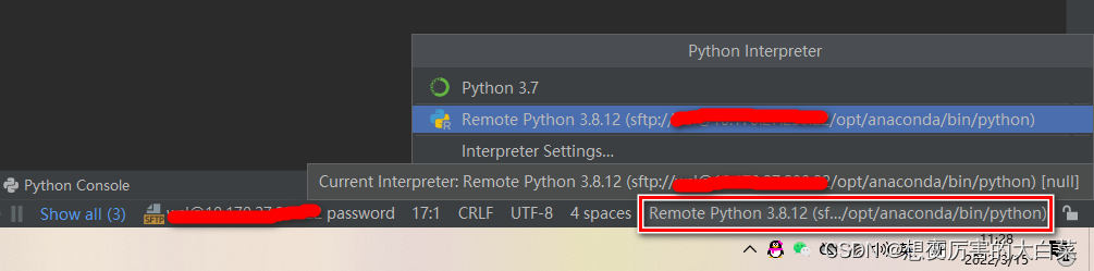 pycharm ssh连接 docker pycharmssh连接远程服务器_上传_08