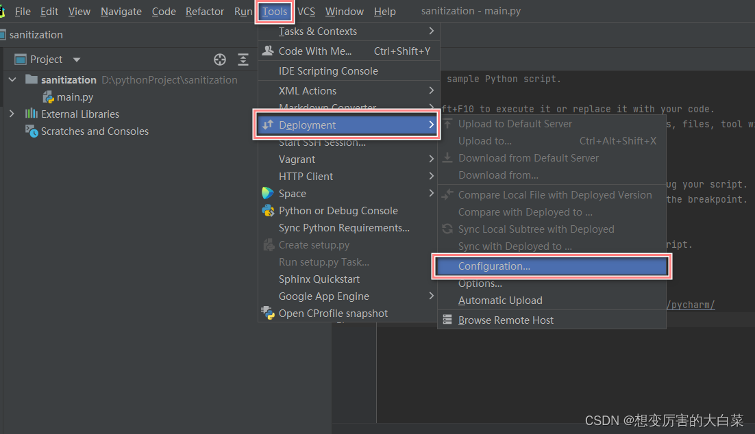 pycharm ssh连接 docker pycharmssh连接远程服务器_pycharm_10