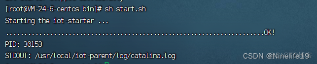 linux云服务器部署gitee开源springboot项目_项目部署_06