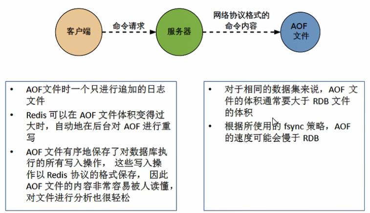 redis AOF放在哪 redis aof rdb_操作系统_02