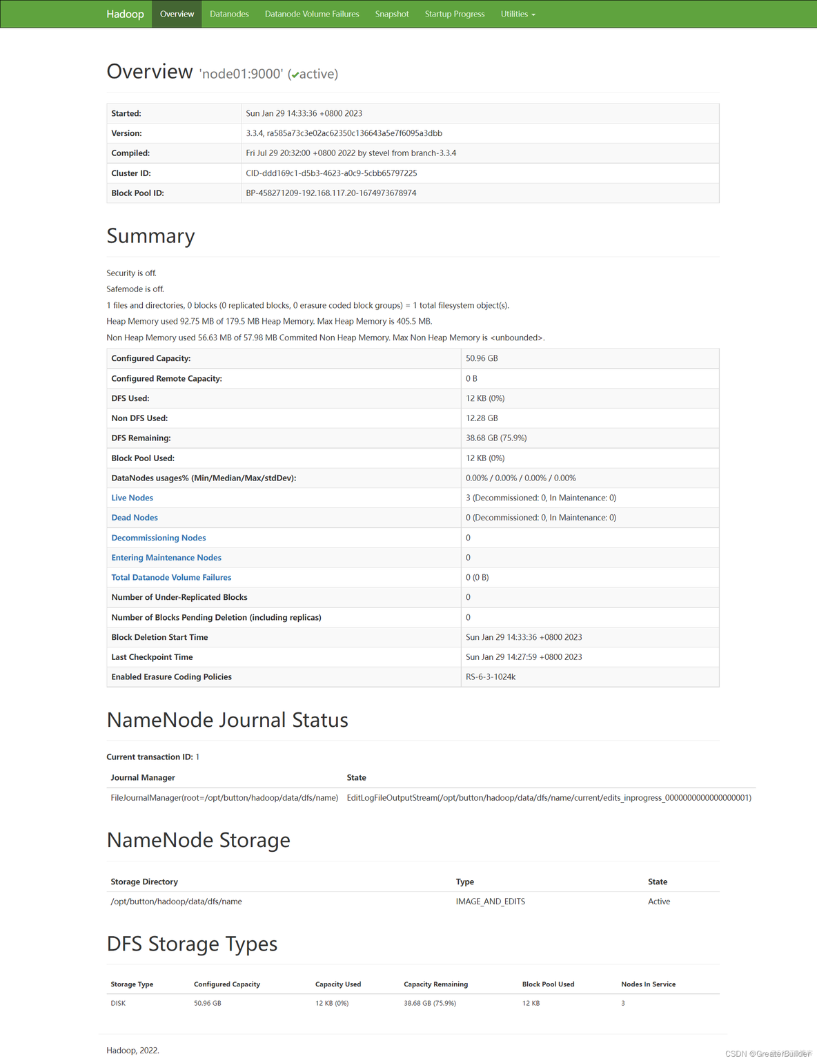 centos dajian hadoop centos搭建hadoop_分布式_14