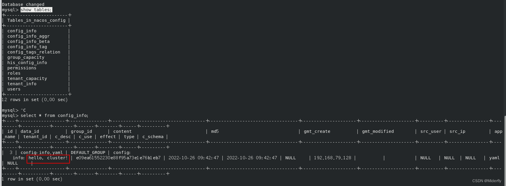 nacos 多个mysql nacos多数据库配置_mysql_19