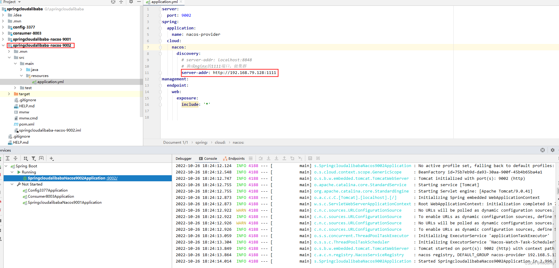 nacos 多个mysql nacos多数据库配置_数据库_20