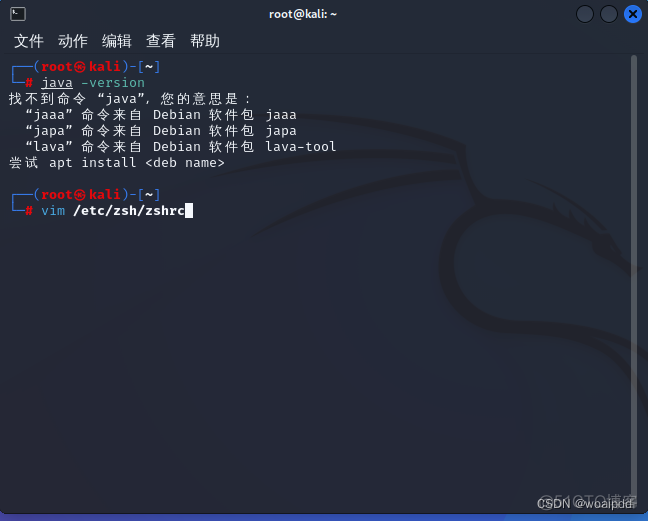 kali装java环境 kali java环境_环境变量_02