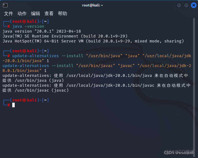 kali装java环境 kali java环境_kali装java环境_07