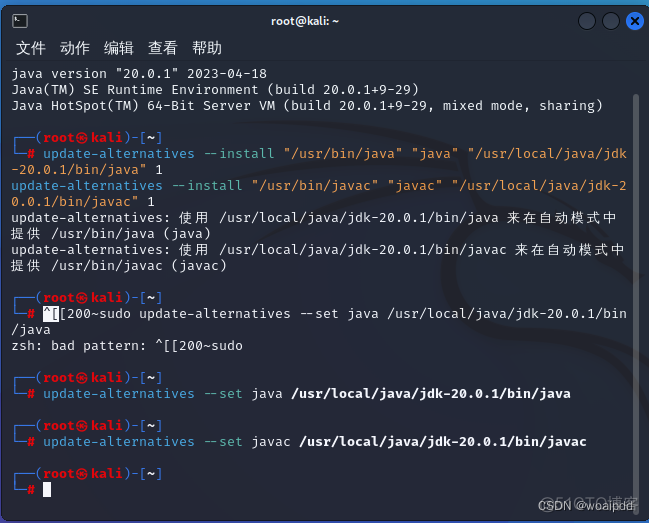 kali装java环境 kali java环境_JAVA_08