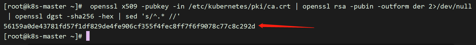 python部署在k8s k8s部署flannel_kubernetes_08