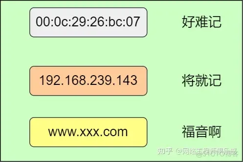 DNS的各种进阶新玩法_网络工程师_02