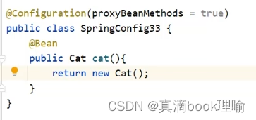 spring boot 重新加载bean springboot加载bean原理_加载_11