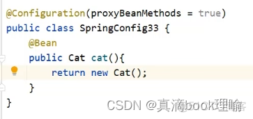 spring boot 重新加载bean springboot加载bean原理_java_11