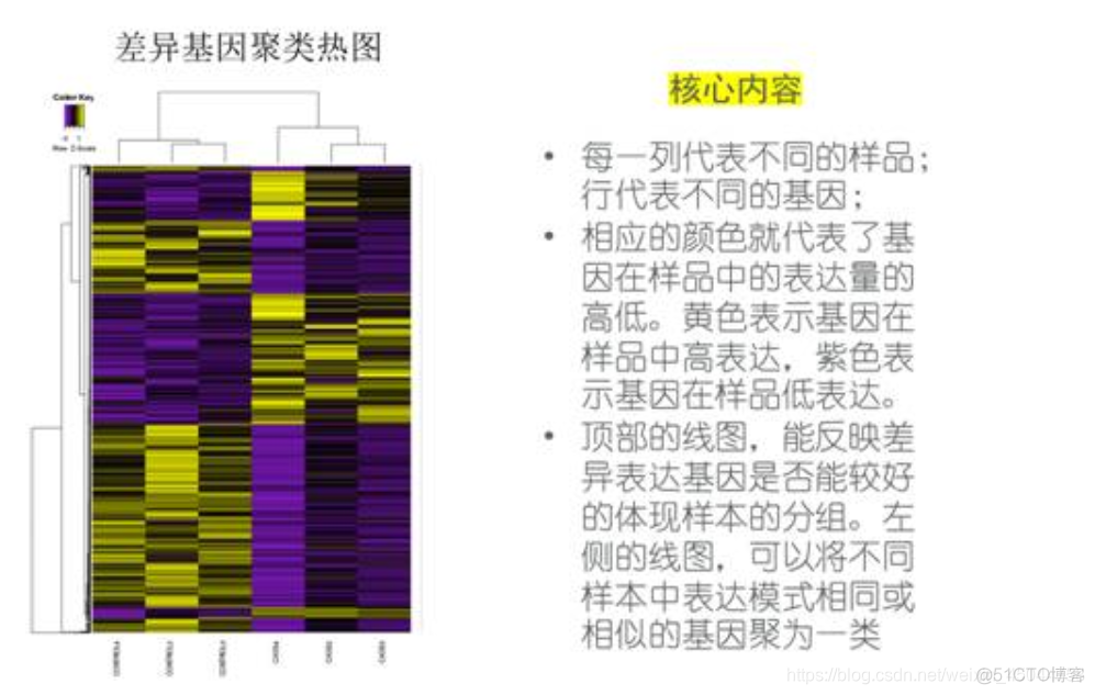 RNA测序 GSEA R语言 rna测序结果图怎么看_python_11