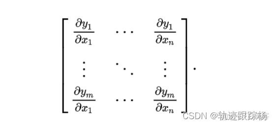 深度学习雅可比矩阵 什么叫雅可比矩阵_数组_02