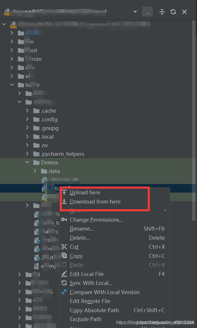 pycharm使用远程的python环境 pycharm 远程_pycharm_07