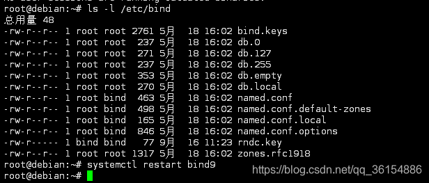 debian10 不能安装mysql debian10.9安装_DNS_02