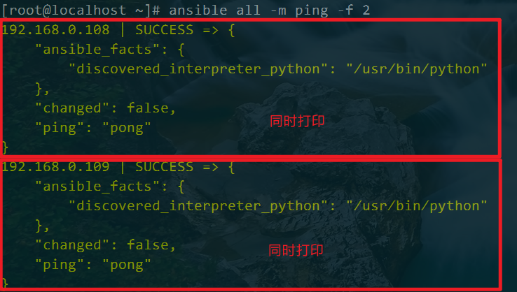 ansible playbook部署docker ansible playbook ping_mysql_04