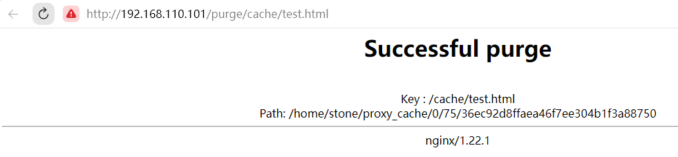 nginx 清除redis 缓存 nginx如何清除缓存_nginx 清除redis 缓存_06