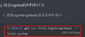 istoreos设置docker docker istio_ide_20