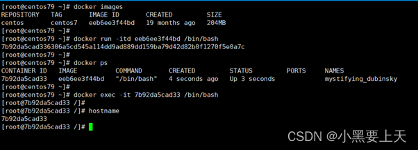 3-docker安装centos7_bash_02