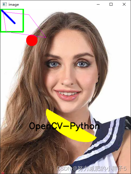 Python OpenCV从入门到精通 PDF 下载_ opencv入门教程pdf_学习