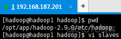 dock 安装hadoop hadoop安装文档_dock 安装hadoop_20