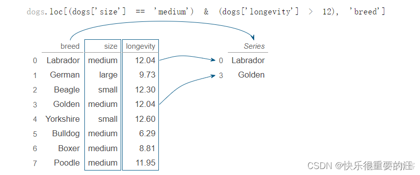 python占比结果添加到新数据中怎么操作 pandas计算占比_字符串_02